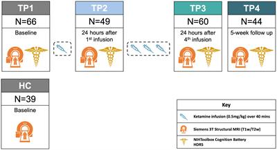 Hippocampal subfield volumes in treatment resistant depression and serial ketamine treatment